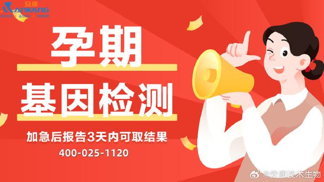 维修费用鉴定报告解读:合理介绍与精准修复