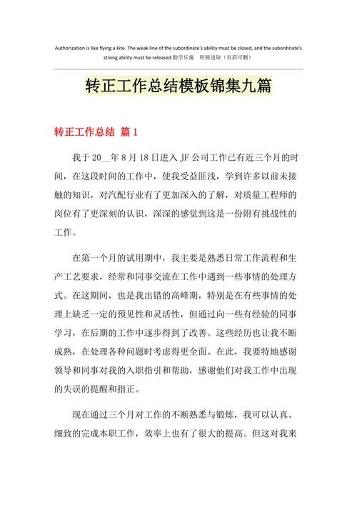维修转正工作总结报告_以专业技能与团队协作为核心