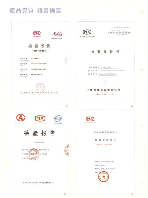 维修阀门报告范围：保障工业安全的关键一环