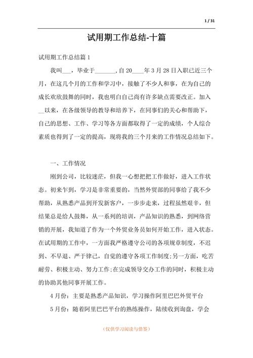 综合维修试用期总结报告