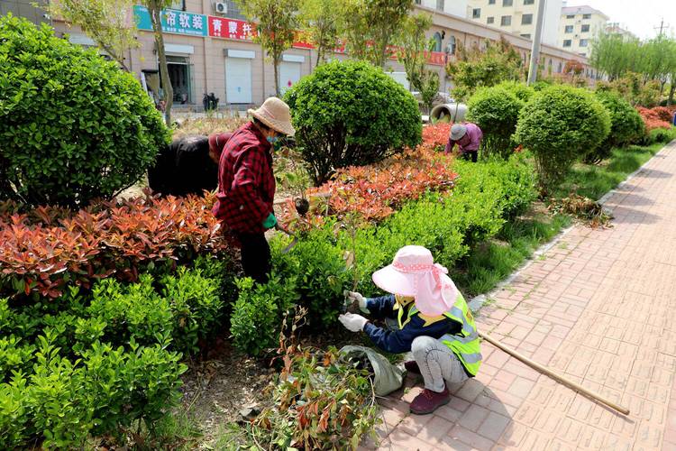 绿化维修改造:打造绿色家园,提升城市品质