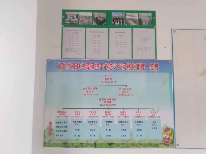 绿色家园,匠心呵护_林区房屋维修申请报告解读