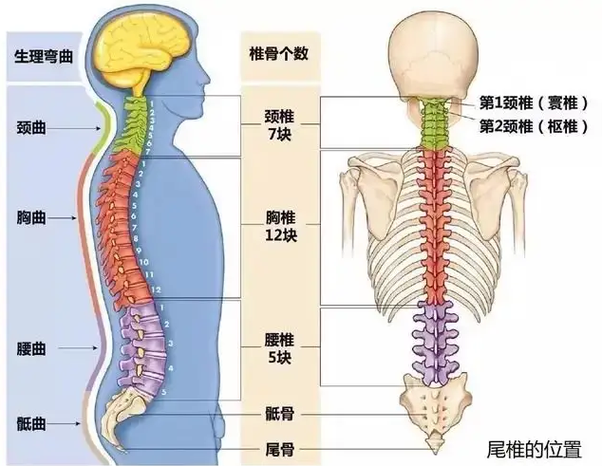 罗宾逊维修报告解读:技术创新与安全守护的完美融合