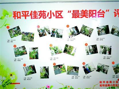老旧住房维修申请,守护城市家园的温暖港湾