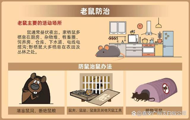 老鼠咬线故障维修报告:细节介绍与预防措施