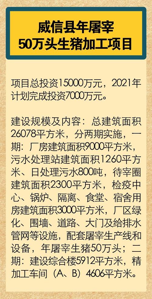 职工周转房维修资金报告解读:保障民生,筑牢幸福基石