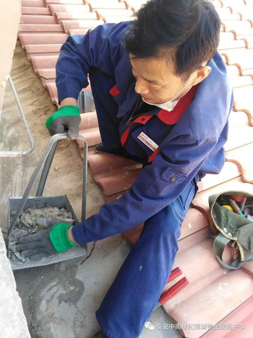 聚焦维修散水,保障建筑安全与居民生活品质