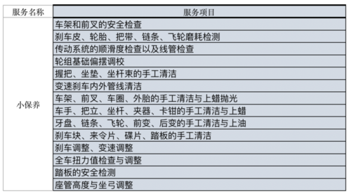 自行车维修例报告解读：自行车保养与维护的重要性