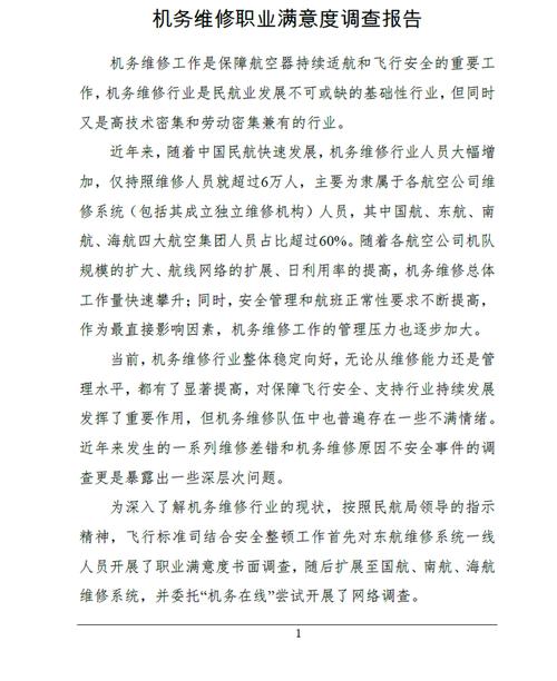 航空器维修总结报告_提升安全性能,保障飞行安全