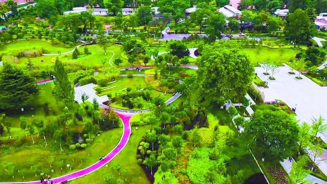 花池维修报告申请：守护城市绿肺，美化公共空间