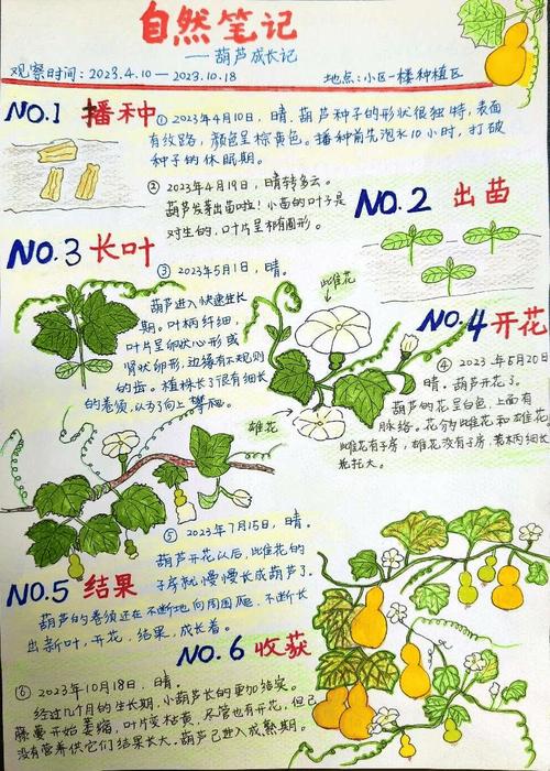 苹果维修报告中的奥秘：介绍电子产品的健康体检