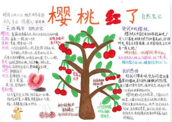 苹果维修报告:介绍现代科技背后的服务奥秘