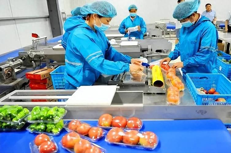 蒸饭器检测维修报告单解读:介绍现代厨房设备维护之路