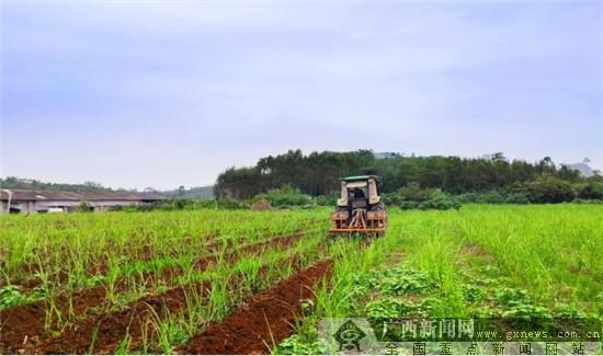 蔗区道路维修:助力乡村振兴,保障蔗糖产业可持续发展