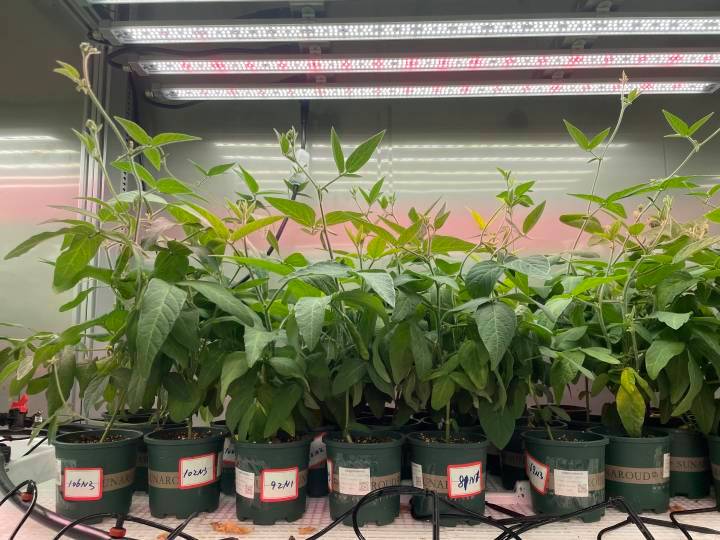 解码苹果维修报告单:介绍电子产品维修背后的秘密
