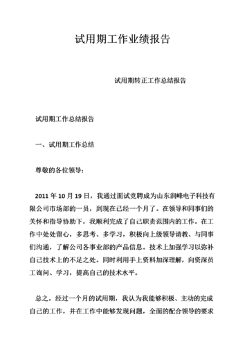 试用期工作报告:维修人员成长之路
