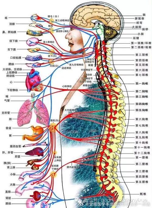 详细介绍发动机维修报告：介绍汽车心脏的健康密码