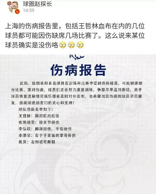 详细剖析维修与检查报告,保障设备安全稳定运行