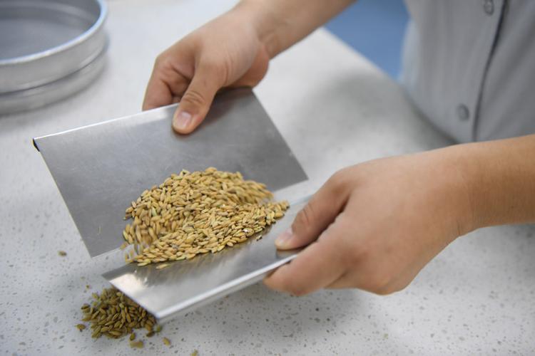 详细剖析维修图片报告单:科技守护设备安全,专业服务保障生产