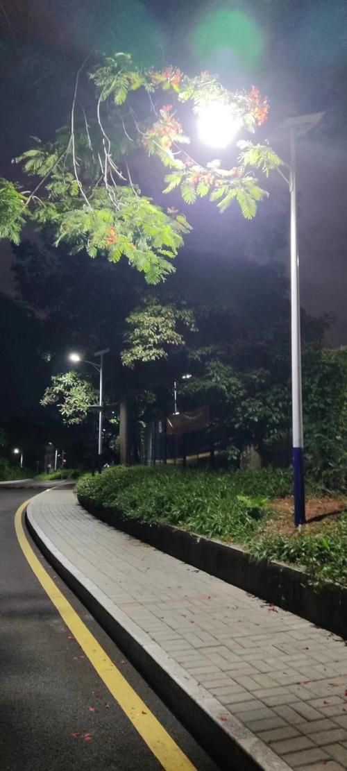 路灯杆维修报告解读：照亮城市安全与美丽的守护者