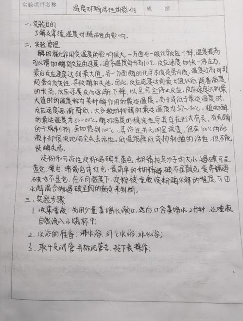 车身维修实验报告解读:技术与艺术的完美融合