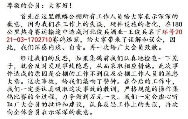 车辆维修反思:从失误中汲取经验,迈向卓越之路