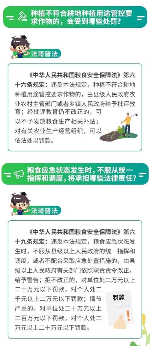 道路塌方维修验收报告解读：筑牢安全防线，保障出行畅通