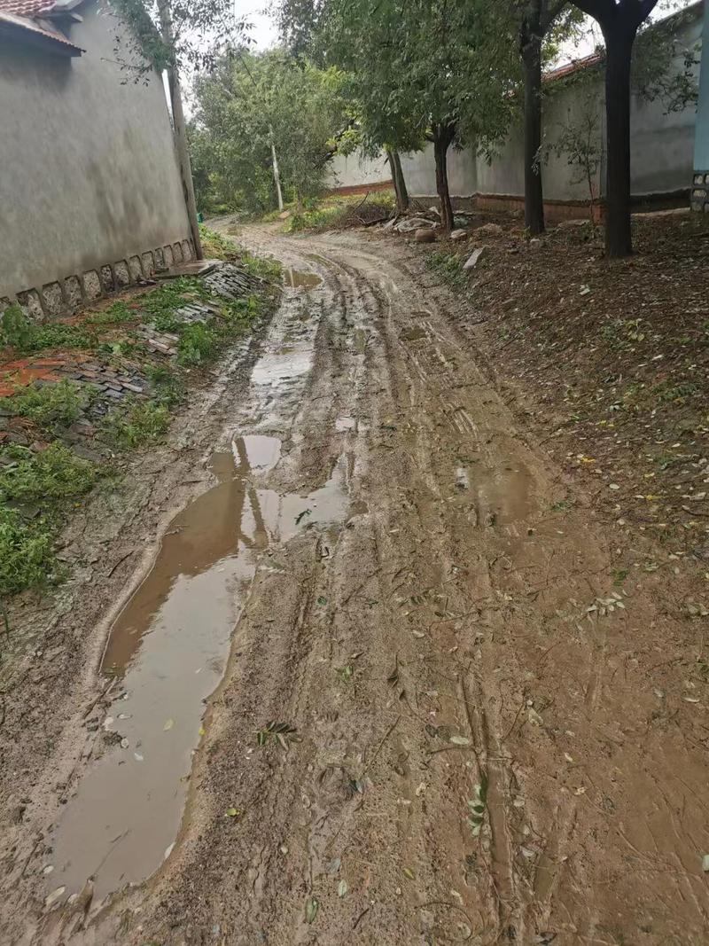 道路维修申请报告引发的思考:城市基础设施的脉动与未来