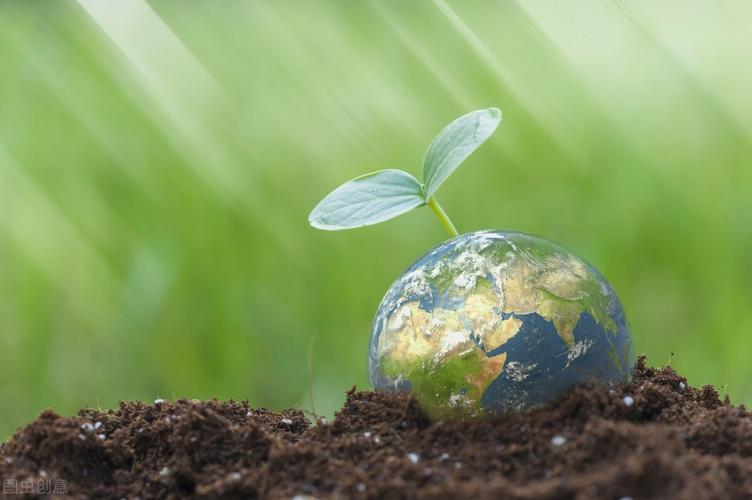 金鱼塘维修报告:守护生态平衡,见证城市绿色未来