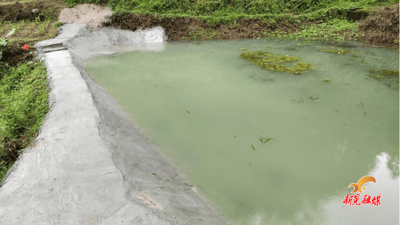 门口塘清淤维修:重塑生态美景,守护碧水蓝天