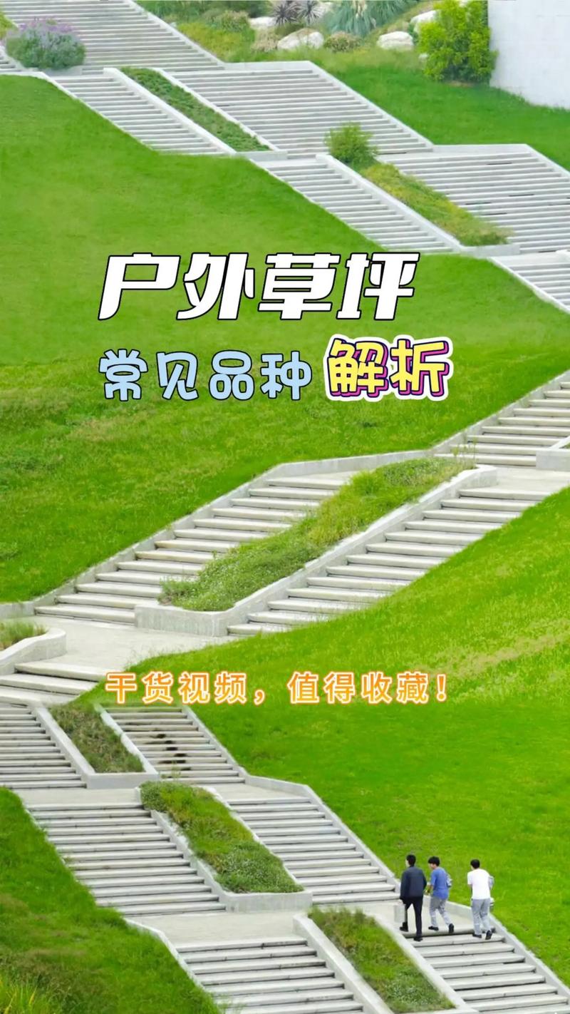 门球场草坪维修报告范文解读:草坪养护的艺术与科学