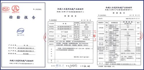 阀门维修可行性研究报告_保障工业设备安全高效运行的利器