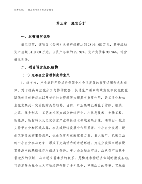 阀门维修大修总结报告