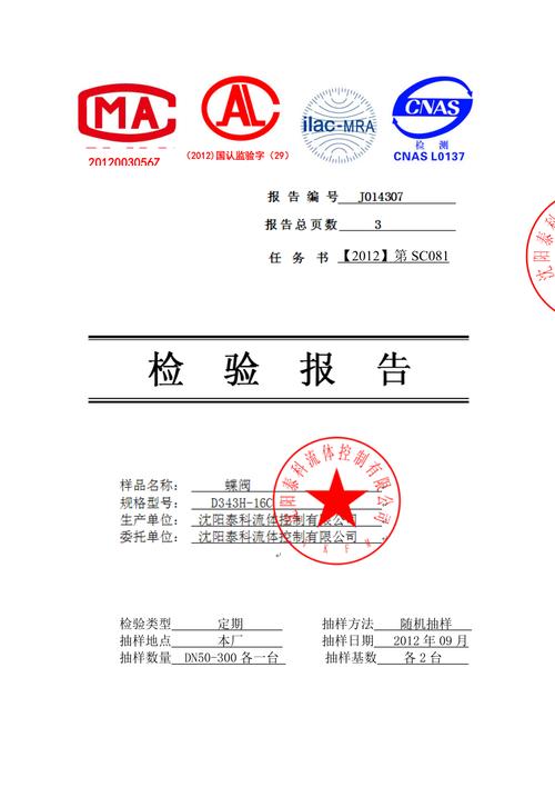 阀门维修检验报告书