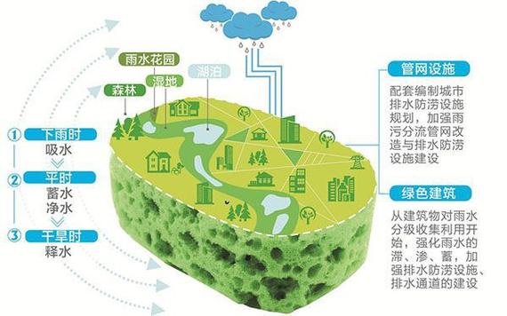 雨水收集系统维修报告解读：守护绿色家园，提升水资源利用效率