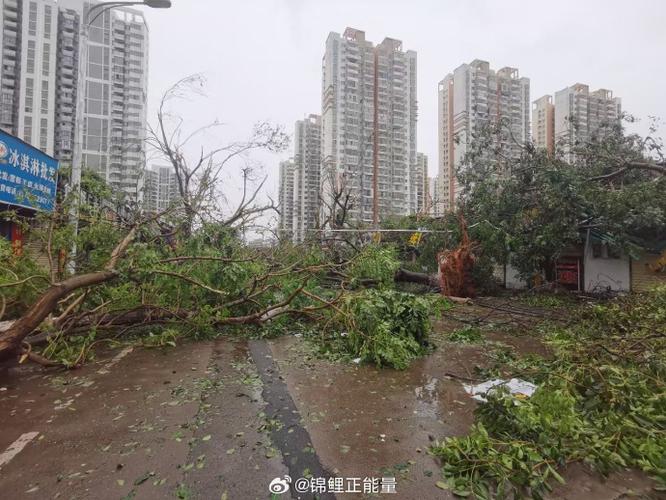 风雨过后,见证校园新生_我校风灾维修工程纪实