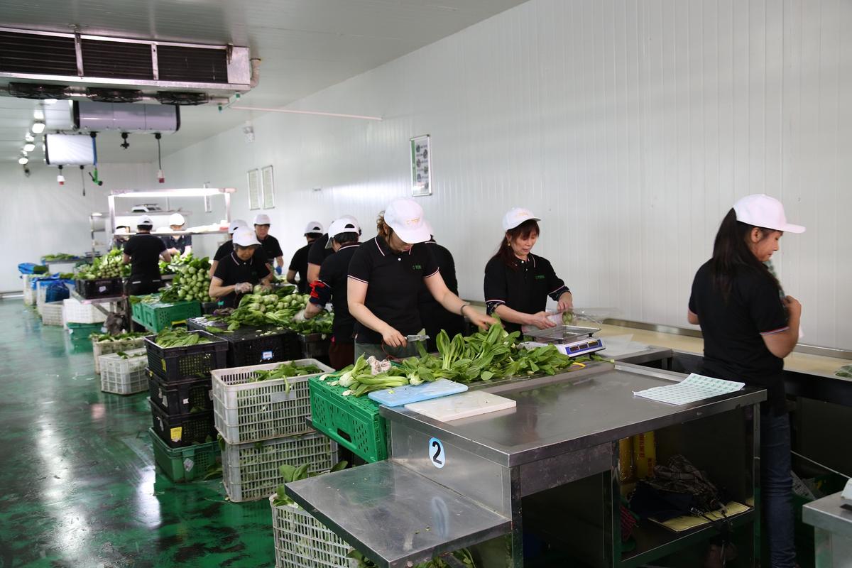 食堂电瓶车维修报告范文介绍及启示