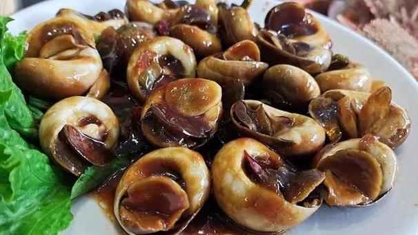 高层外墙维修报告解读:安全与美观的双重保障