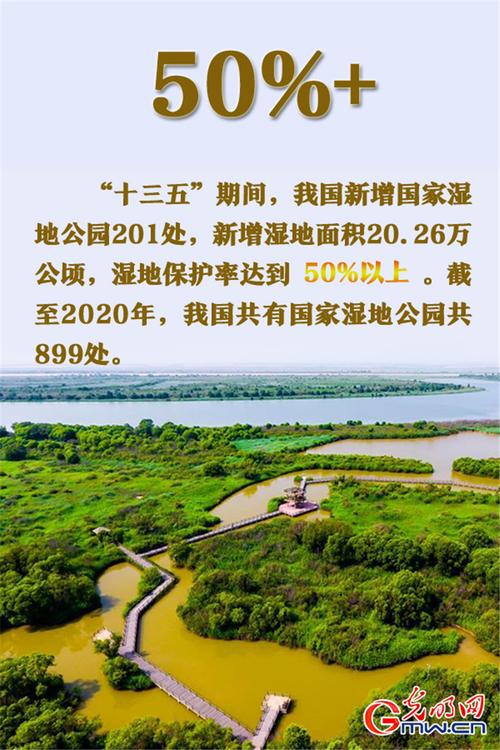 高铁维修环评报告：绿色发展与和谐共生的未来之路