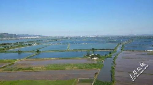 鱼塘维修报告启示录:生态养殖与可持续发展之路