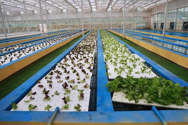 鱼池维修报告解读:科学养护,鱼儿欢畅
