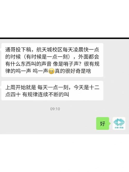 介绍哨声之谜,空气振动与声波的魅力_空气能发出哨声的原因