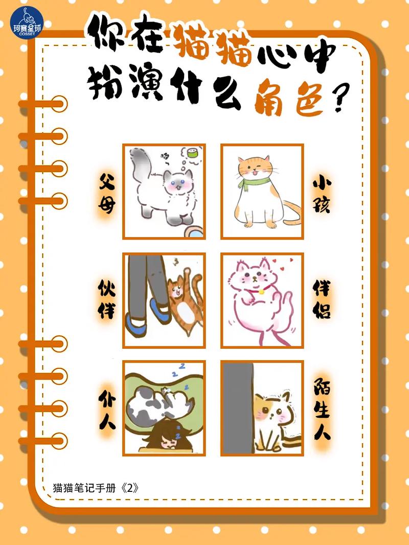 介绍猫咪憋气之秘,空气中的“艺术”之旅_猫能憋多久空气