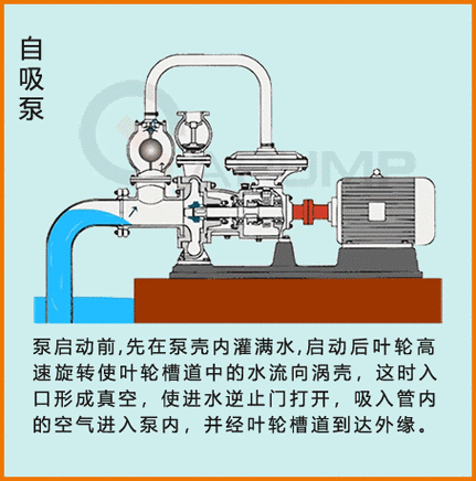 介绍空气输送泵,高效、安全、环保的空气输送解决方法_什么泵能打空气