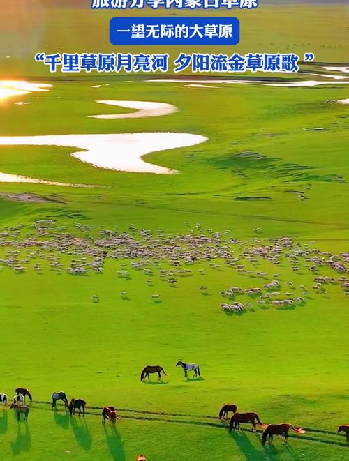 内蒙空气能采暖,绿色节能的新选择_内蒙空气能采暖推荐