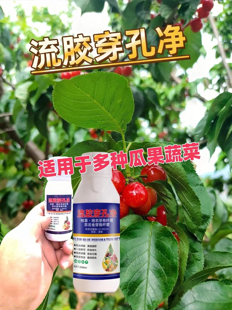 商用空气净能器,打造绿色健康办公空间的新宠_商用空气净能器