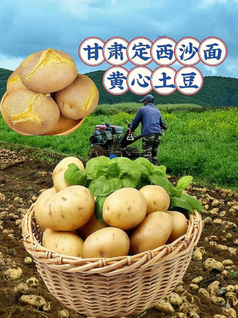 定西空气能冷暖机组,绿色节能的供暖新选择_定西空气能冷暖机组
