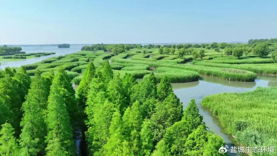 广州粤科空气能,绿色节能的先锋力量_广州粤科空气能
