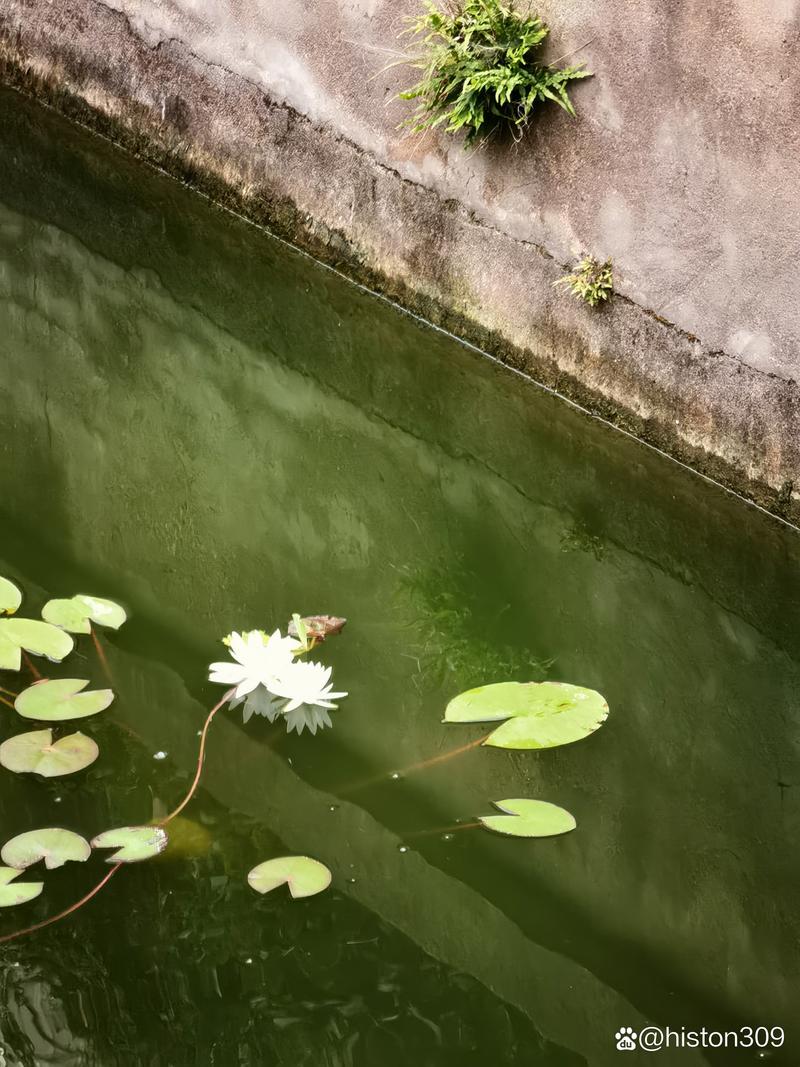得尚德空气能,绿色节能的家居新选择_得尚德空气能