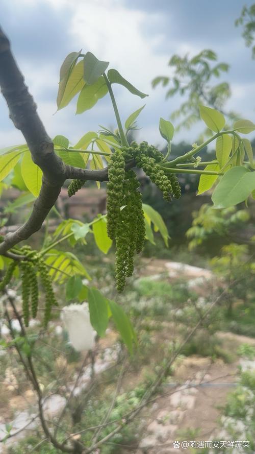 德能空气能冷暖机,绿色节能,舒适生活的得力助手_德能空气能冷暖机怎么用